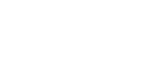 Ineo